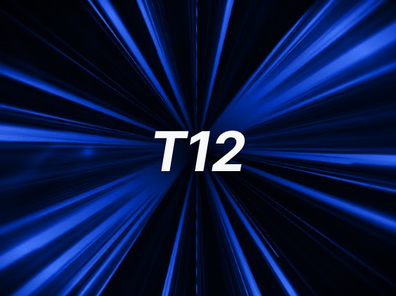 How the T12 Protocol Attains a Speed of 1.3 Million transactions?